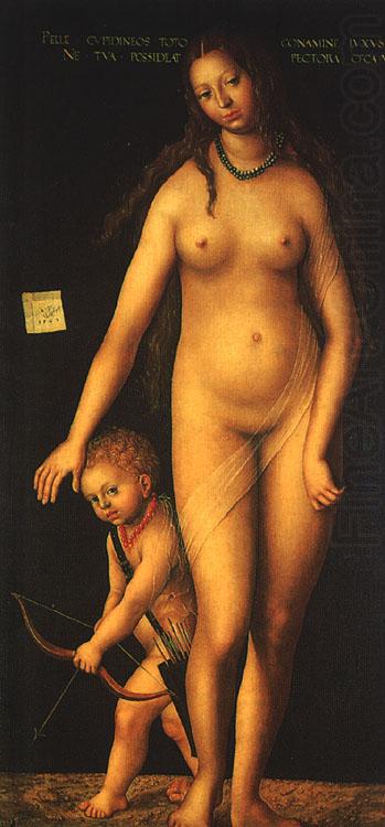 CRANACH, Lucas the Elder Venus and Cupid dfg china oil painting image